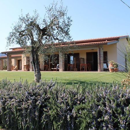 Agriturismo Il Vecchio Mandorlo Castiglione della Pescaia Exterior foto