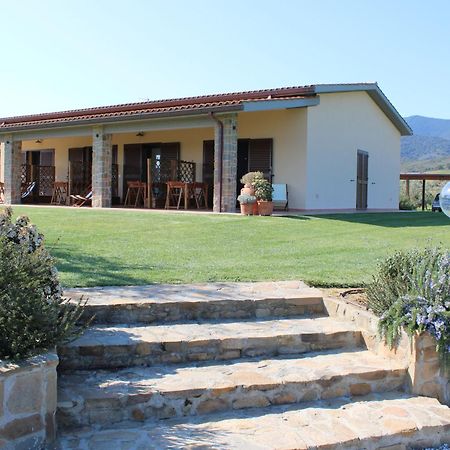 Agriturismo Il Vecchio Mandorlo Castiglione della Pescaia Exterior foto