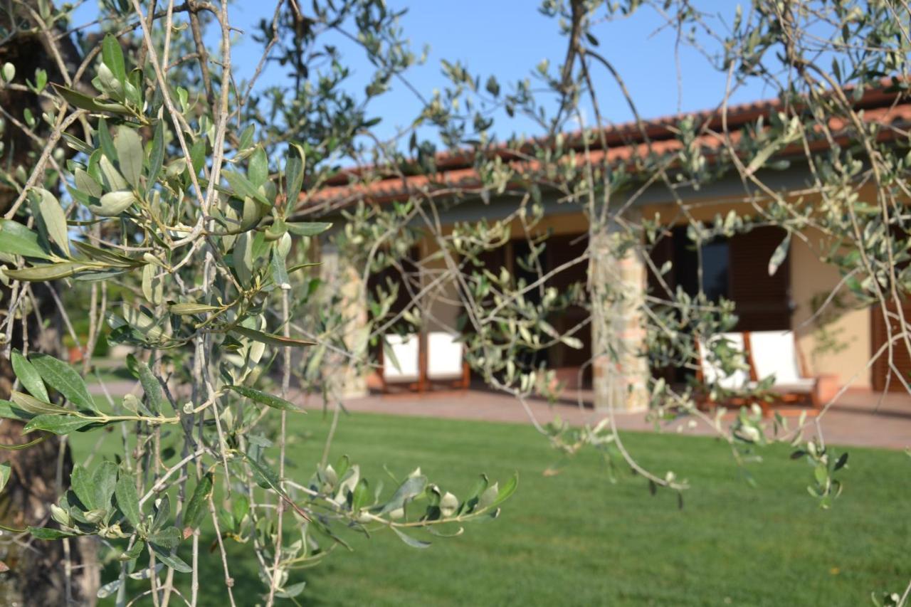 Agriturismo Il Vecchio Mandorlo Castiglione della Pescaia Exterior foto