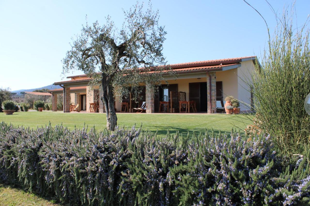Agriturismo Il Vecchio Mandorlo Castiglione della Pescaia Exterior foto